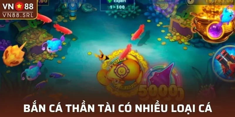 Bạn cần biết phân biệt các loại mục tiêu trong game này