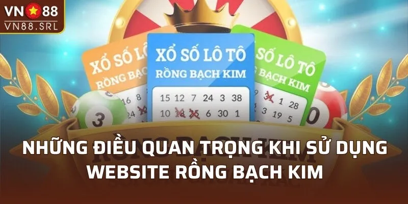 Những điều quan trọng khi sử dụng website Rồng Bạch Kim