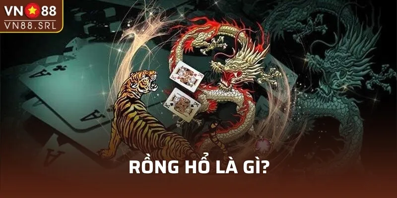 Rồng hổ là gì?