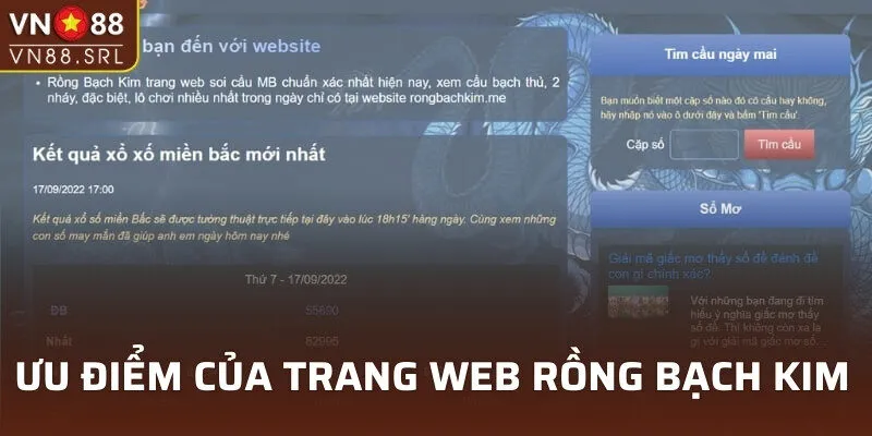 Ưu điểm của trang web rồng bạch kim